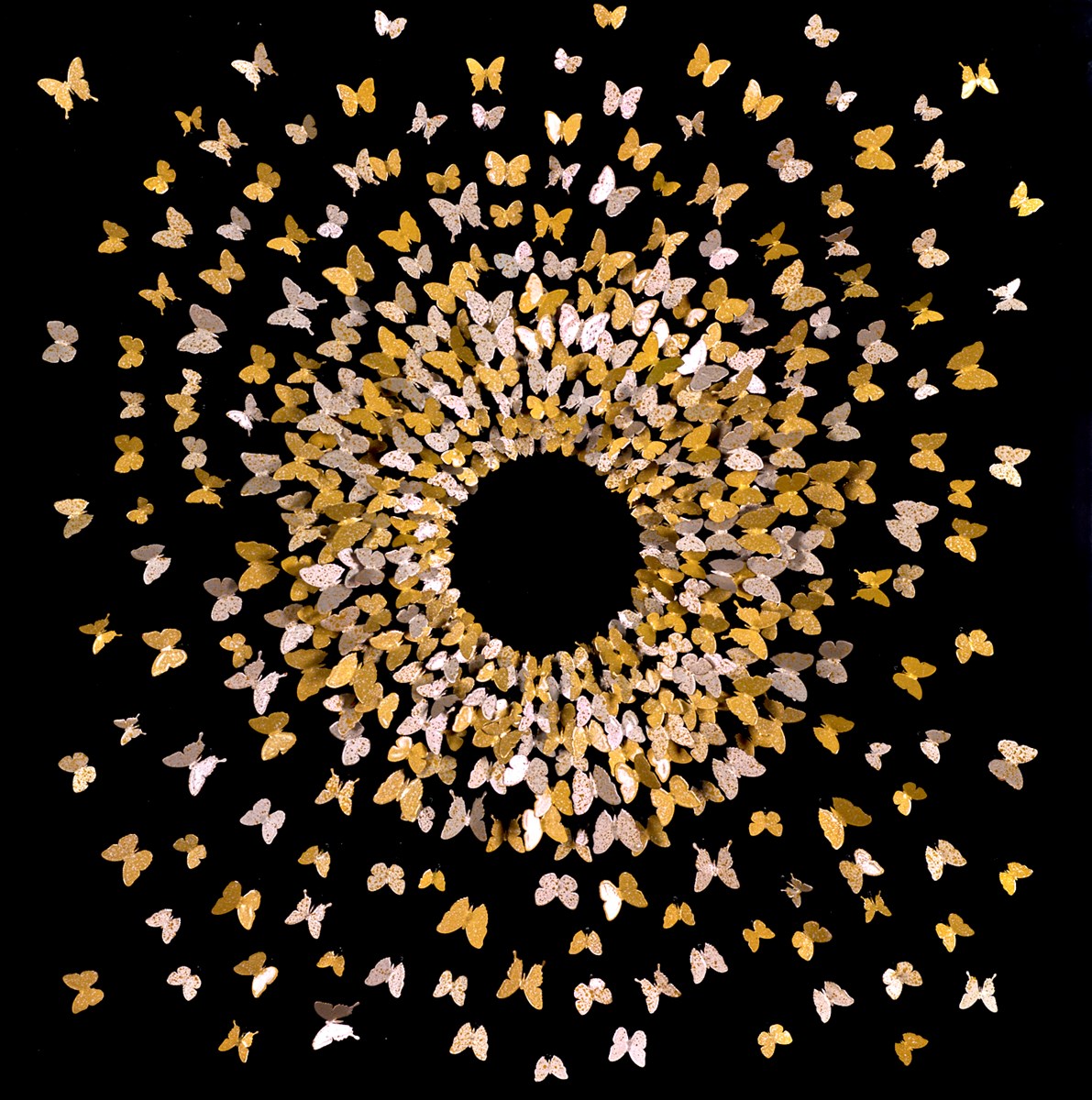 Gathering Butterflies II
