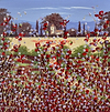 Poppies Near Home II