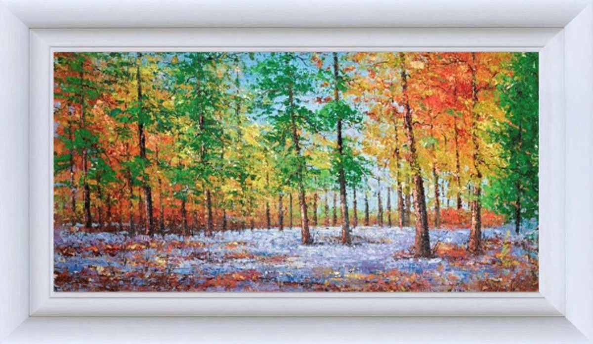 Rainbow Forest
