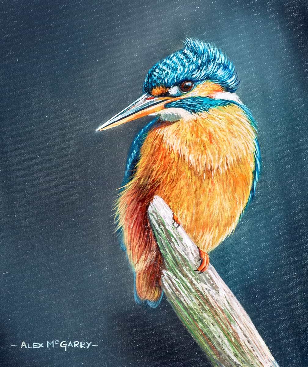 The Kingfisher