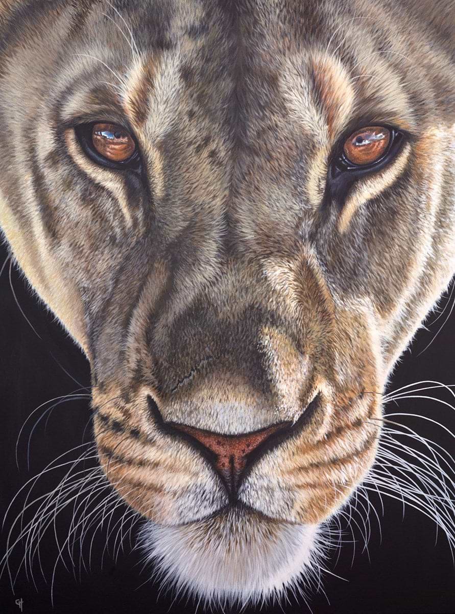 Fearless Lioness
