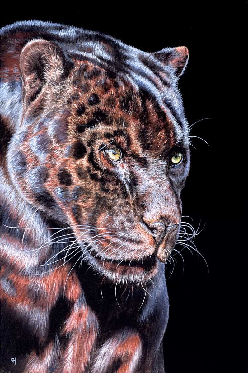 Panther Prowling