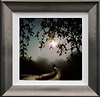 Taking the Shortcut (Framed)