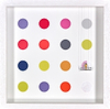 Scrubbed Out - Spots 16 II