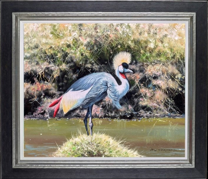 Crowned Crane