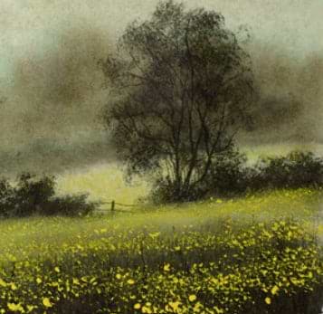Buttercups (Study)