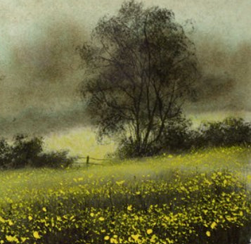 Buttercups (Study)