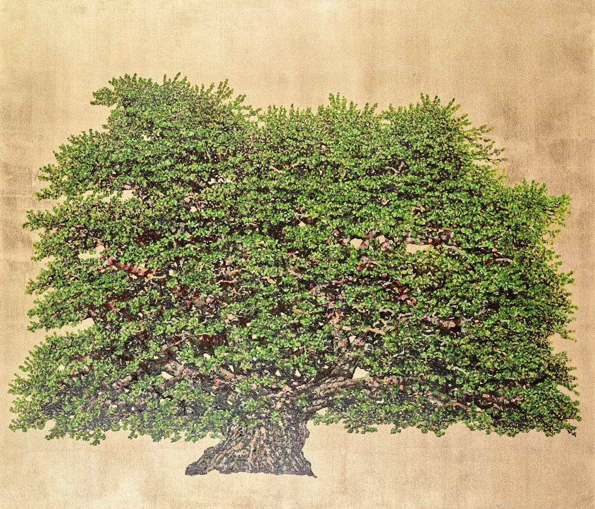 The Herman Oak