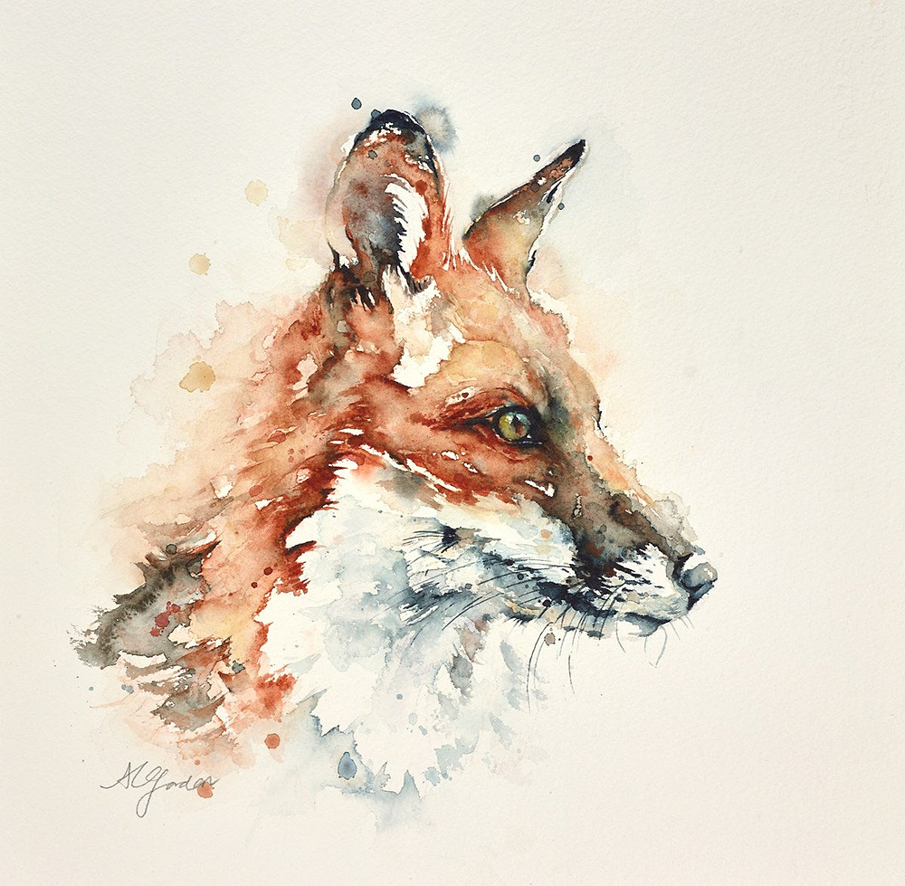 Total Focus- Young Fox