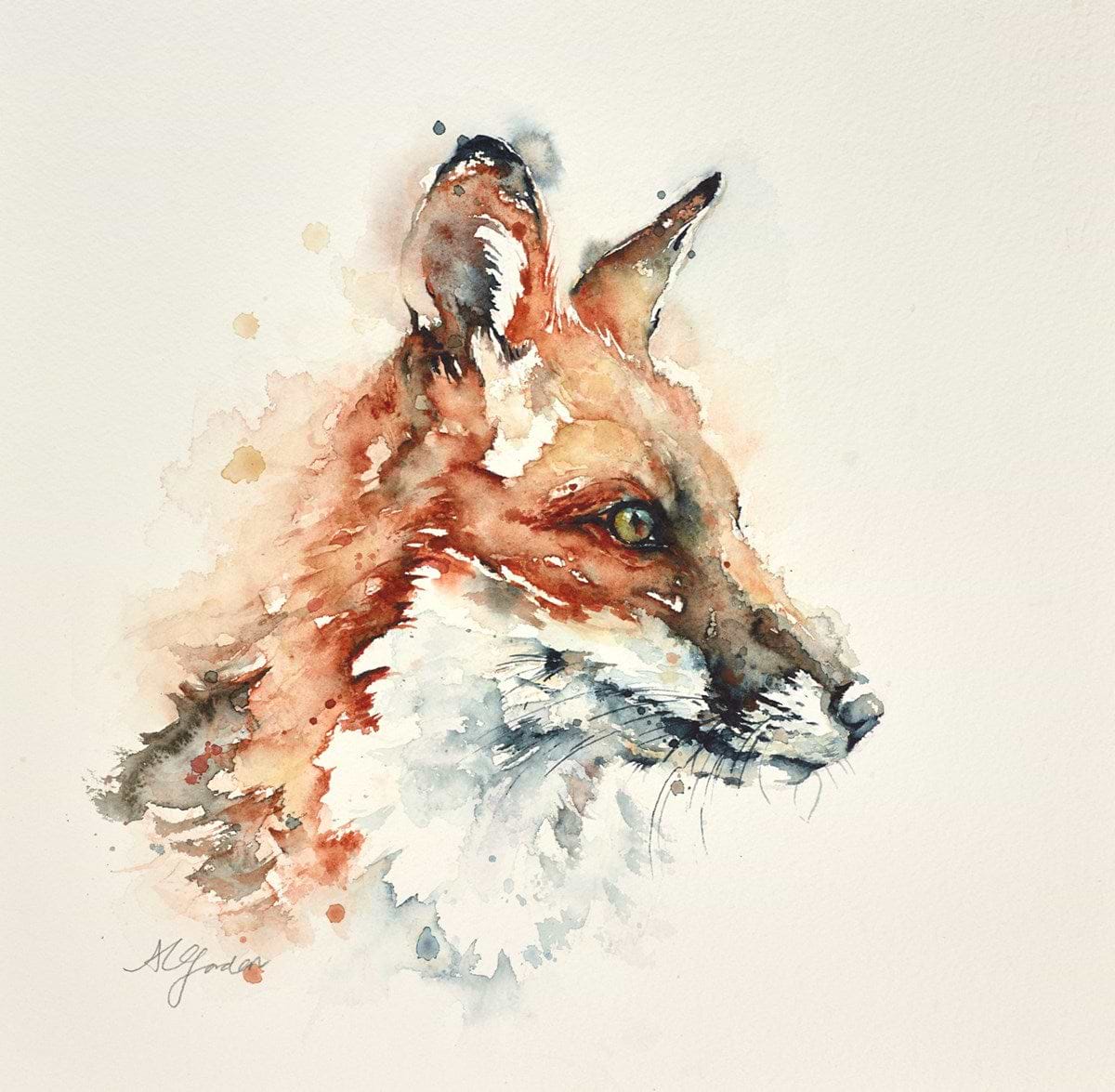 Total Focus- Young Fox