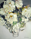 White Desires