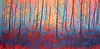 Magic Forest
