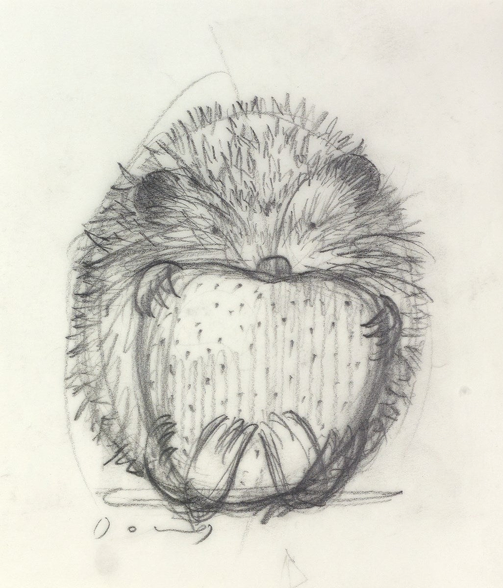 The Gift II (Sketch)