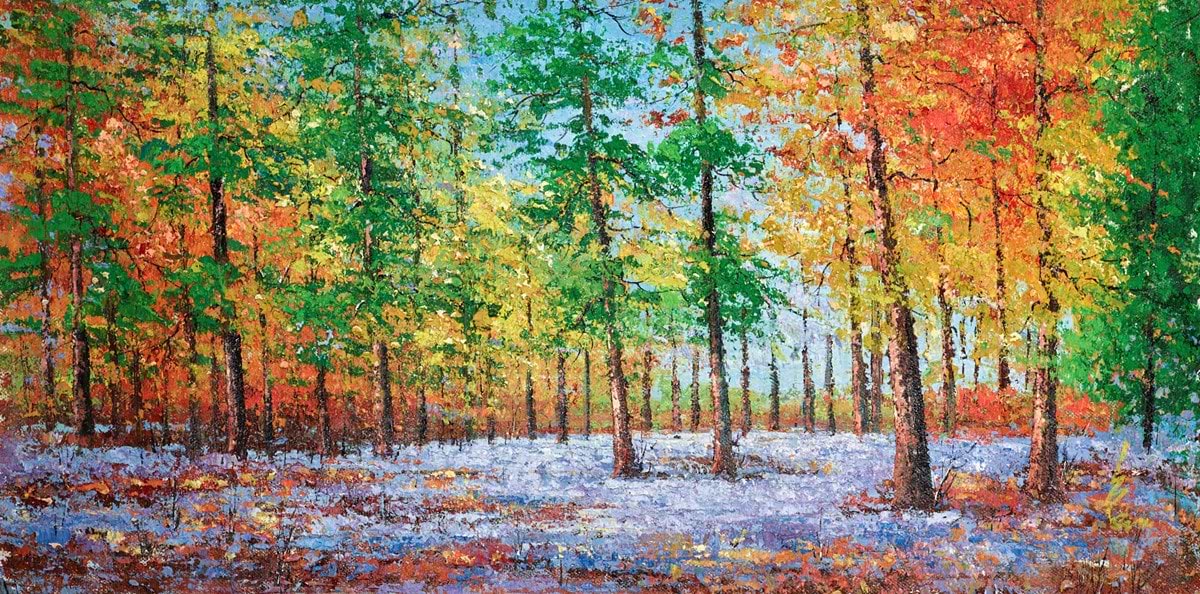 Rainbow Forest
