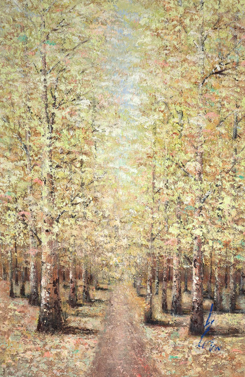 Summertime Forest
