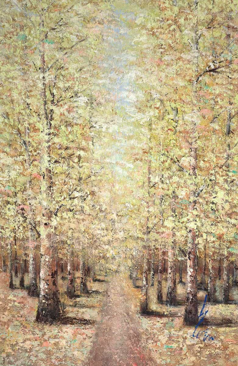 Summertime Forest