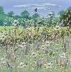 Meadows and Fields
