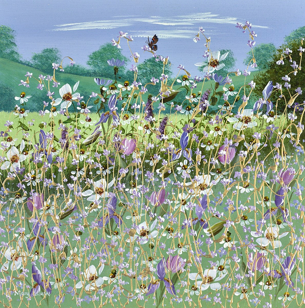 Meadows And Fields