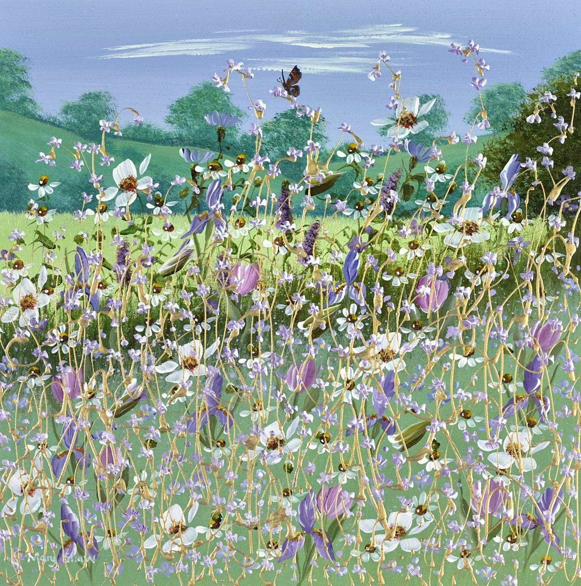 Meadows And Fields