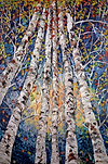 A Colourful Forest V