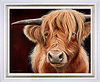 Highland Cow II (Framed)