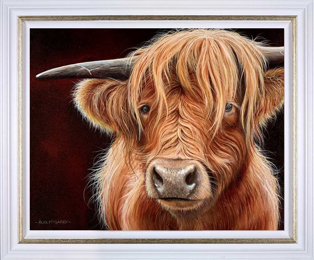 Highland Cow II