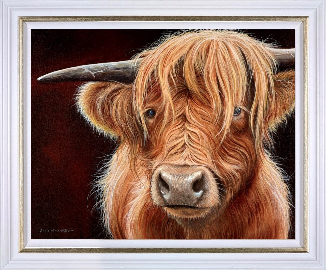 Highland Cow II