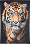 La Tigre