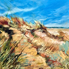 In the Dunes