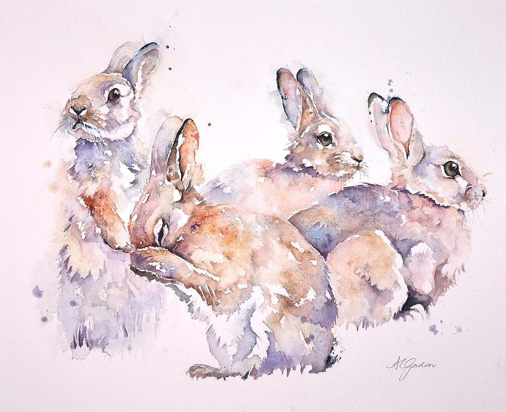 Summer Meadow - Rabbit Family