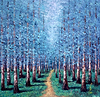 A Forest pathway III