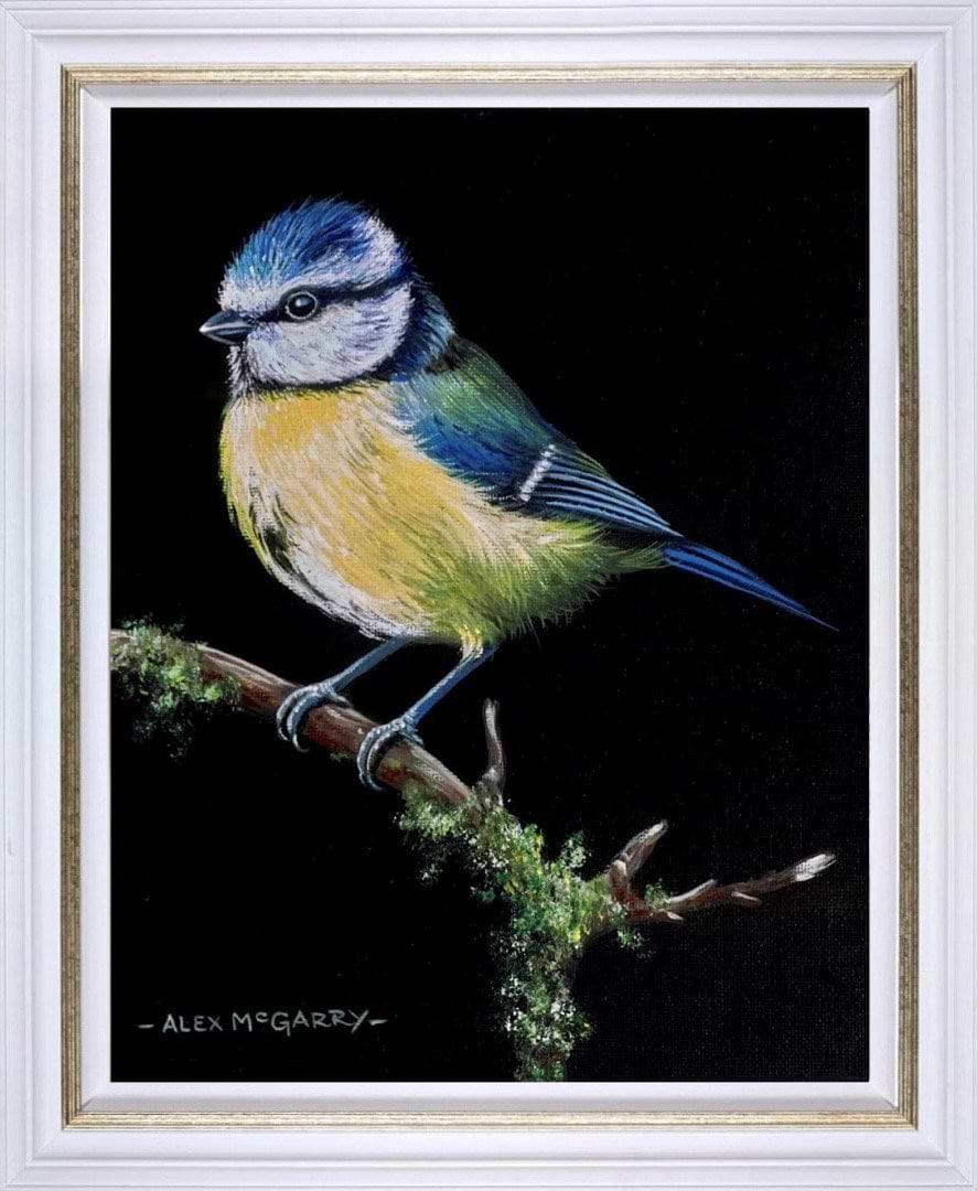 Bluetit V