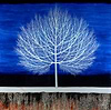 Sapphire Sky VI