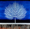 Sapphire Sky VI