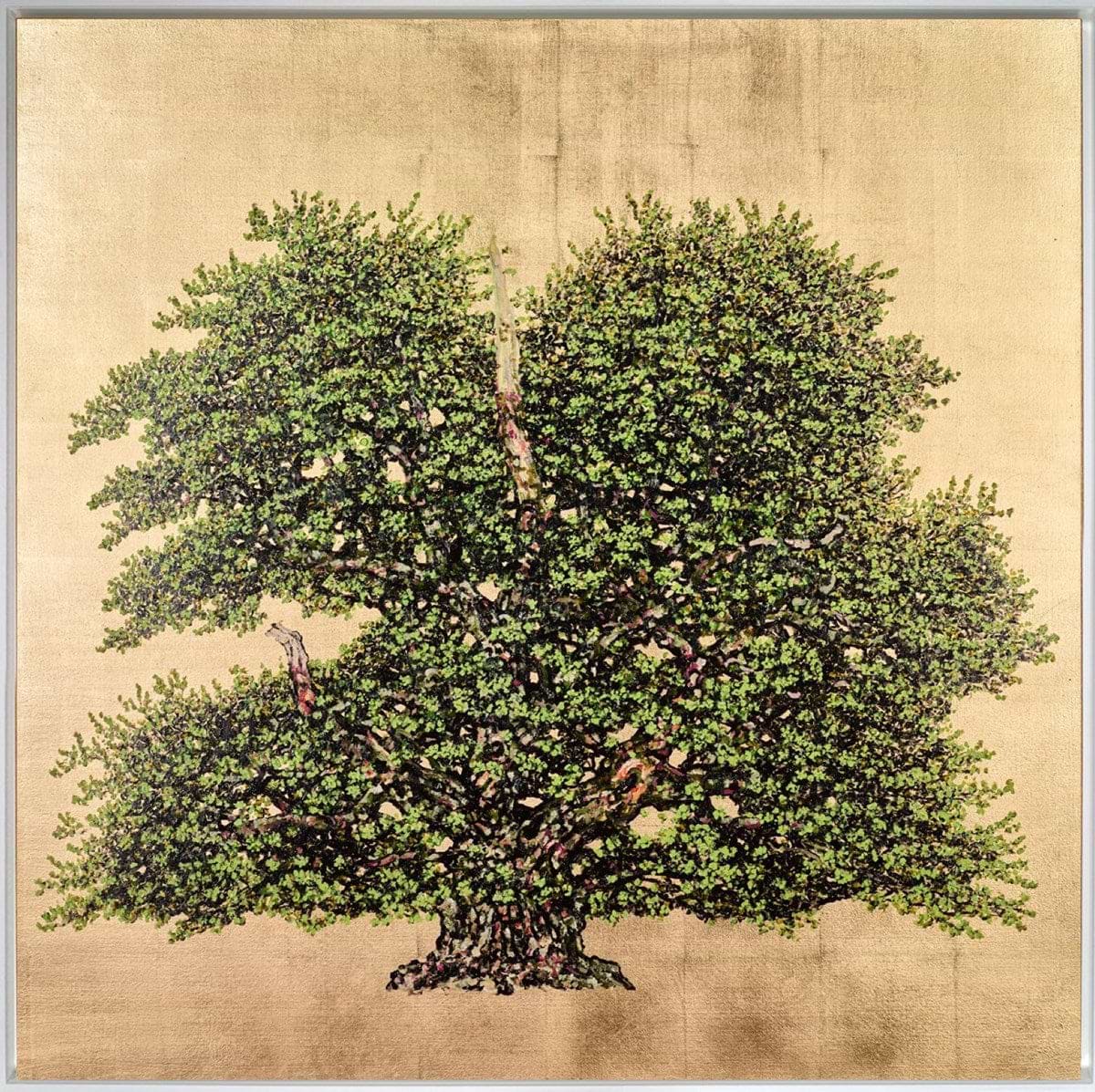 The Troubadour Oak