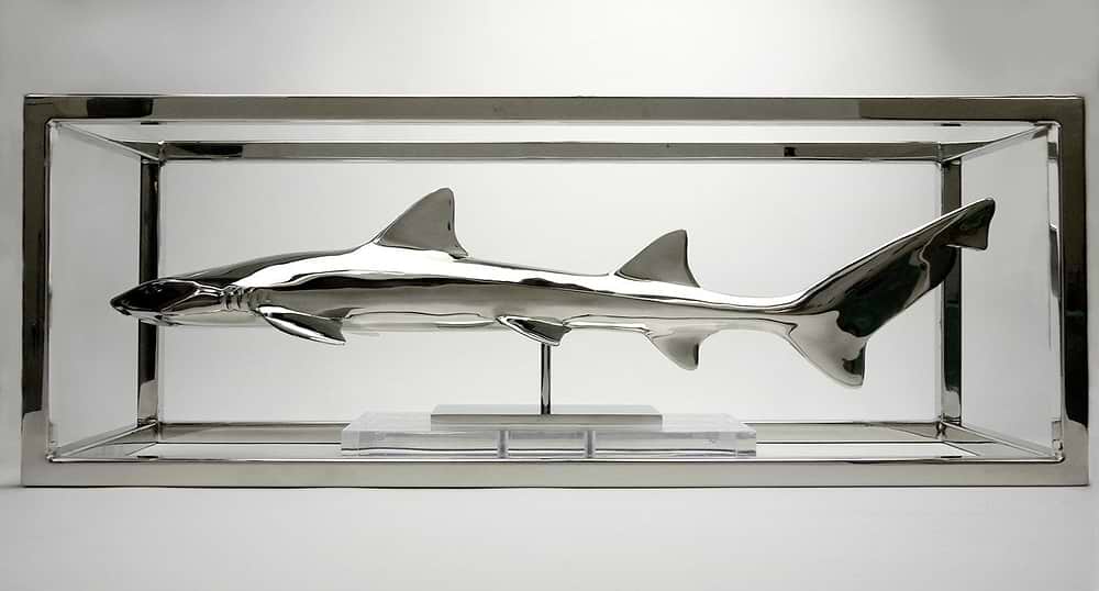 Leopard Shark