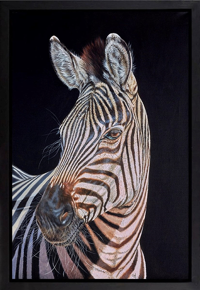 Zebra (Framed)