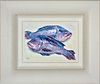 Black Seabass V (Framed)
