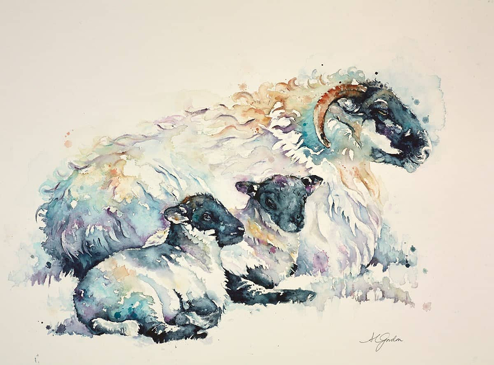 Spring Family - Ewe With The Lambs