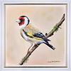 Goldfinch (Framed)