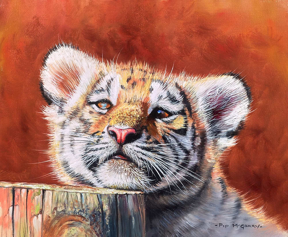 Tiger Cub Tranquility
