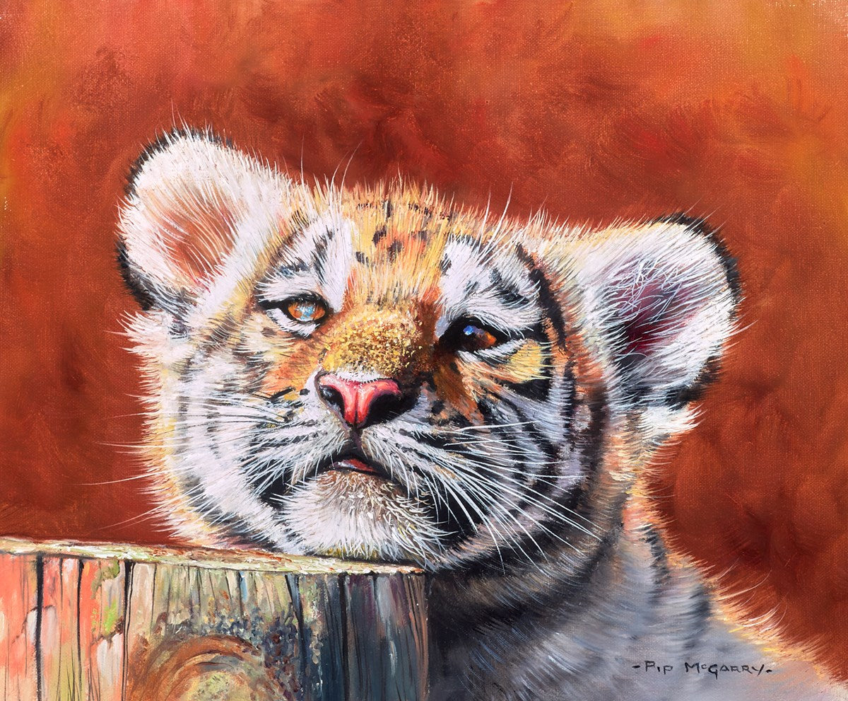 Tiger Cub Tranquility
