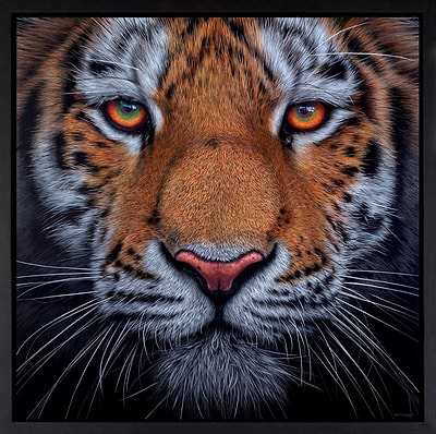 Eye of The Tiger (Framed)