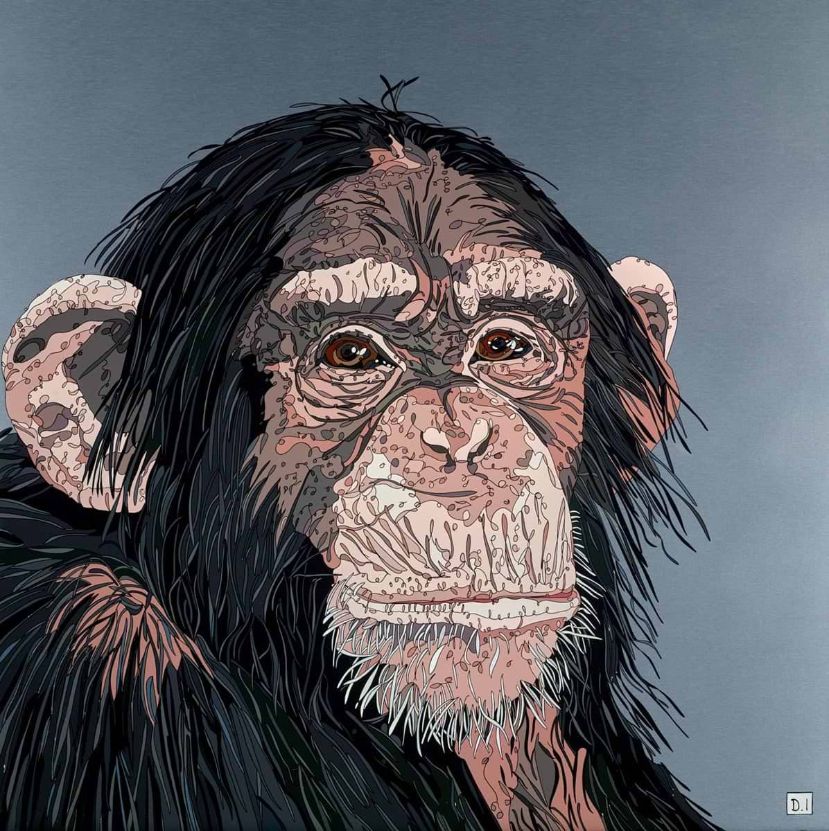 Cheeky Chimp | Dylan Izaak - Clarendon Fine Art