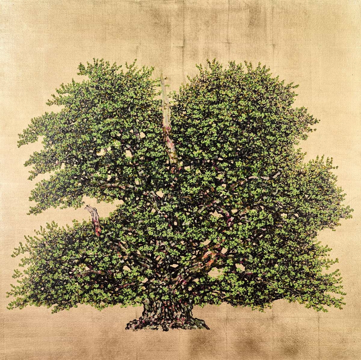 The Troubadour Oak