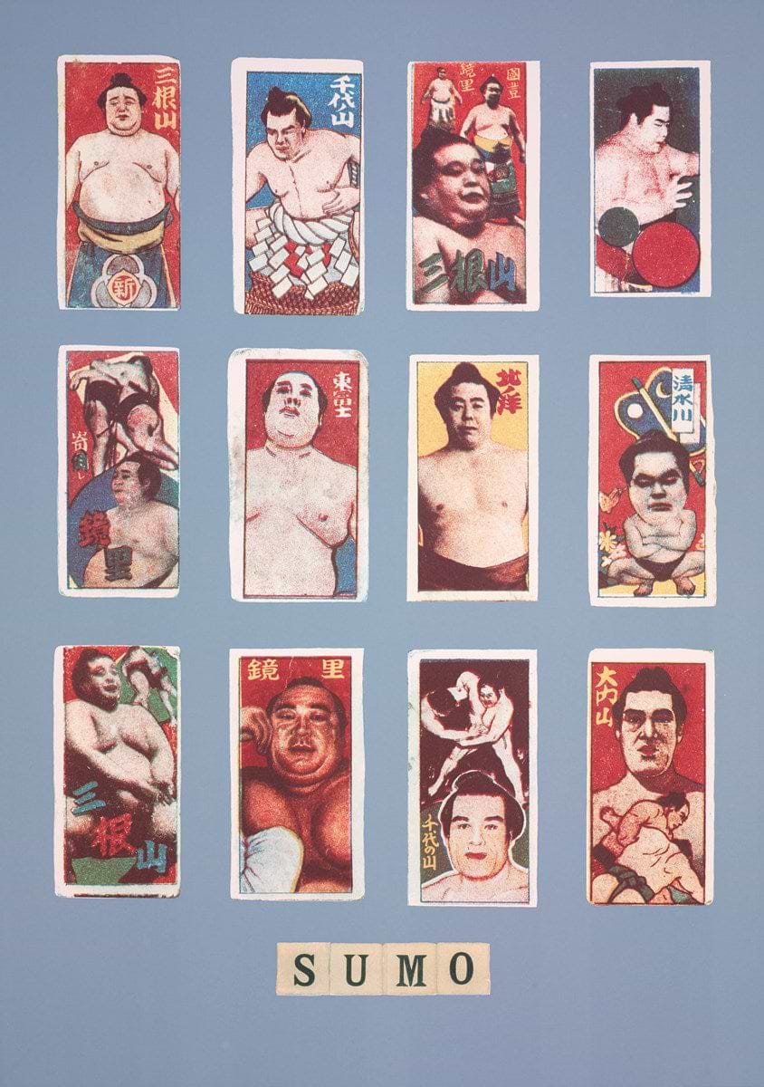 S Is For Sumo, 1991