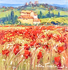 Campi Di Papavero Italiano II