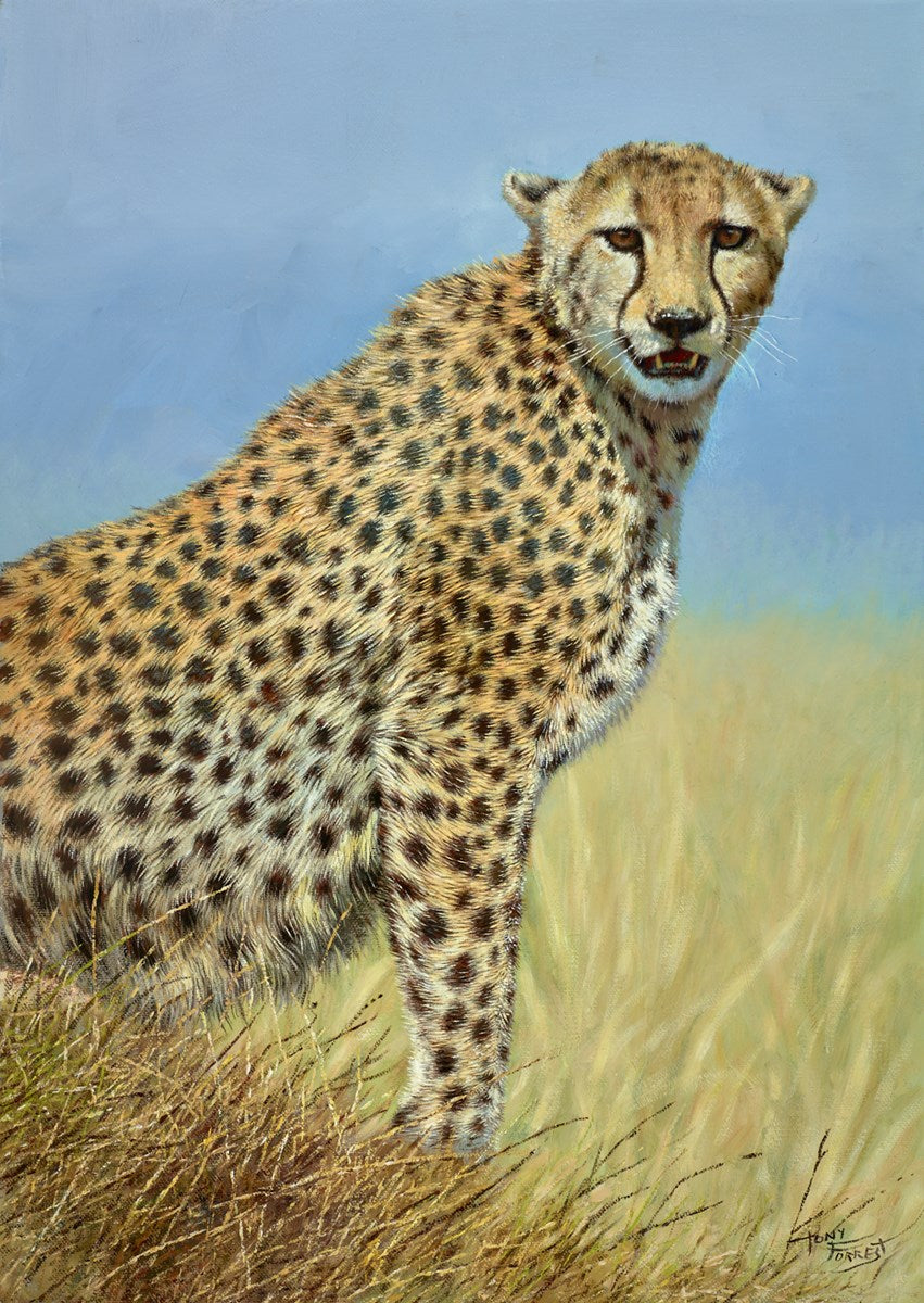 Cheetah III