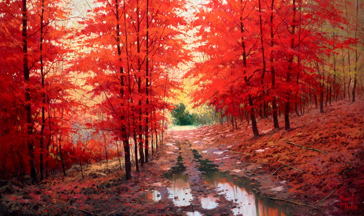 Hayedo En Otoño
