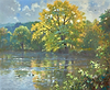 Autumn Reflections